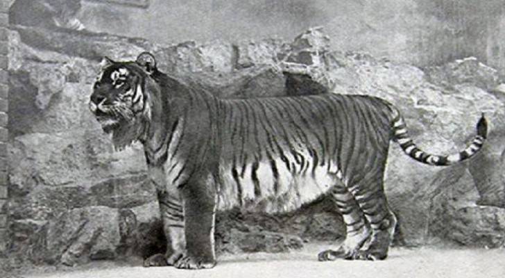 Image 1 from gallery