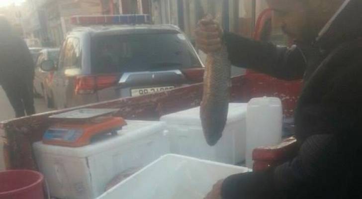 بالصور: حملة على 'البكبات' التي تعمل على بيع السمك في اربد