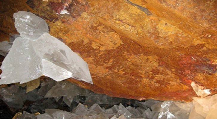 علماء ناسا يكتشفون "أشكالا غريبة" للحياة على كوكب الأرض