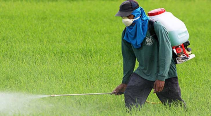 وزارة الزراعة: عقوبات لمسيئي استخدام المبيدات