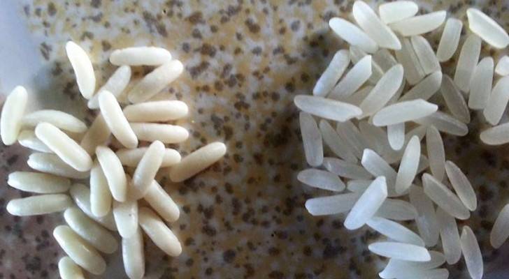 الصورة تعبيرية 