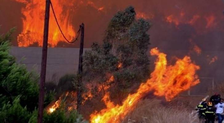 عقوبة رادعة على المتورطين في حرائق الغابات بإندونيسيا