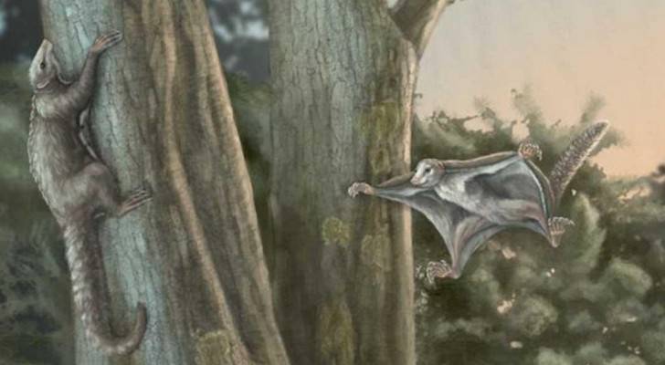 اكتشاف 'ثدييات طائرة' حلقت فوق الديناصورات