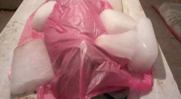 جثة مغطاة بألواح الثلج داخل مستشفى تستفز المصريين
