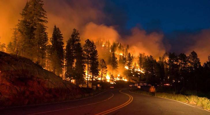 الولايات المتحدة تعلن حالة الطوارئ بسبب الحرائق