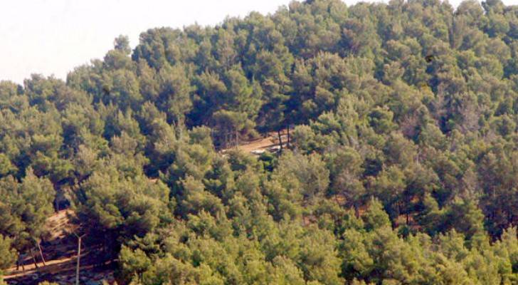 Image 1 from gallery