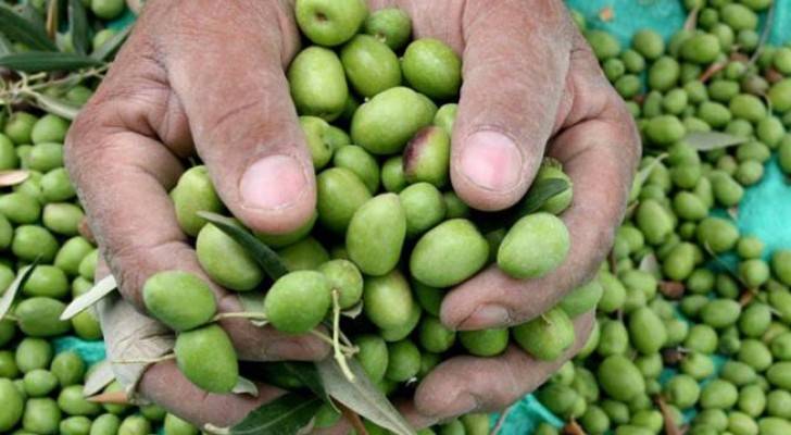 الصورة أرشيفية 