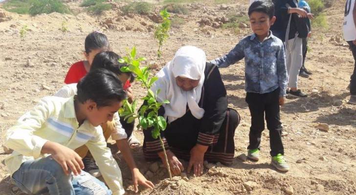 فيديو .. زراعة ٥٠٠ شجرة في الأغوار الوسطى بدعم من دهانات ناشونال