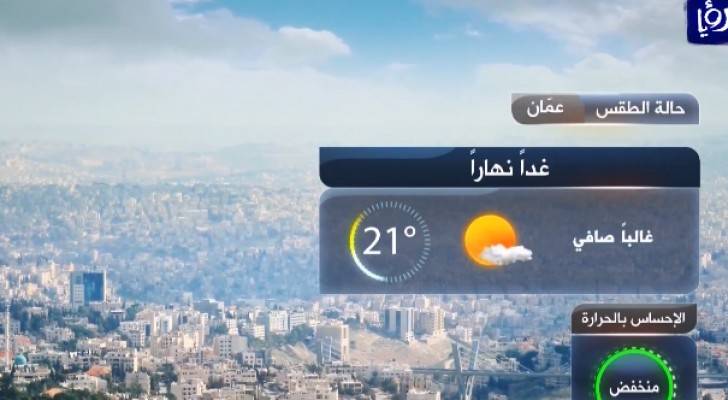 من الفيديو