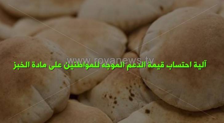 هل رفع الدعم عن الخبز مجدٍ للمواطن والموازنة العامة؟ - فيديو