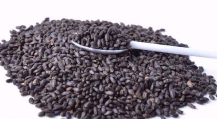 بذور الريحان