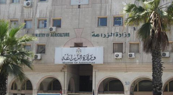 ارشيفية