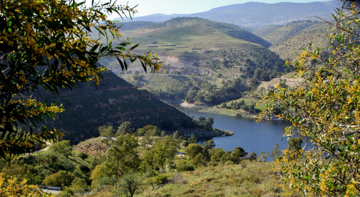 تعبيرية