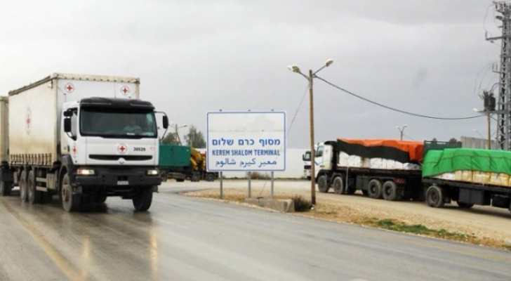 ارشيفية