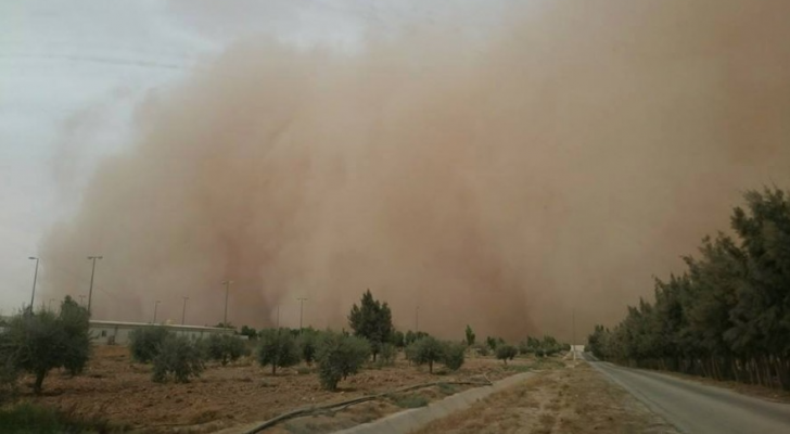 ارشيفية