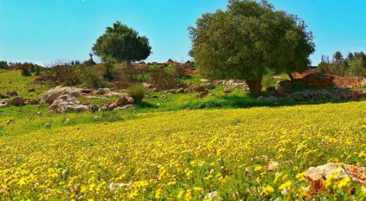 عجلون - ارشيفية