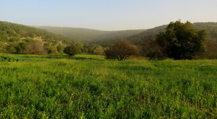 تعبيرية