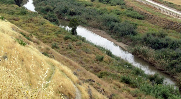 ارشيفية