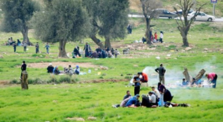ارشيفية