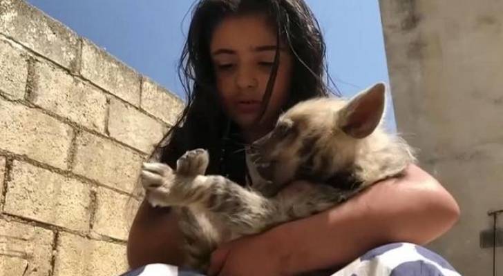 بالفيديو.. طفلة أردنية تربي الضباع كحيوانات أليفة