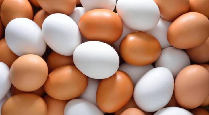 8 حقائق مذهلة عن البيض على الأغلب أنت لا تعرفها!
