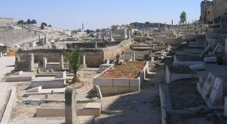 ارشيفية