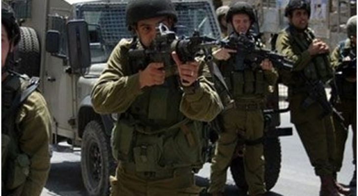 ارشيفية
