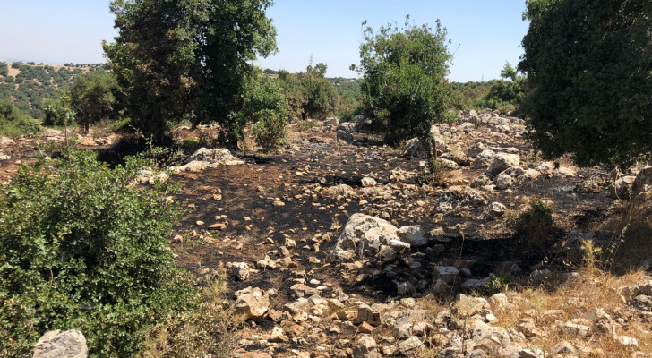 الحريق أتى على ٧٠ دونم