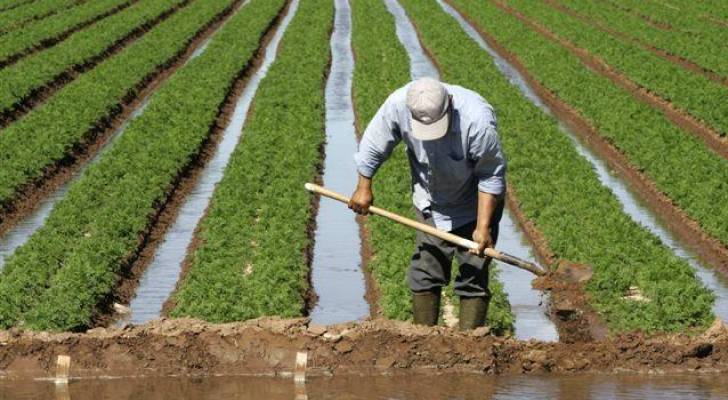 تقرير: ممارسات زراعية خاطئة تؤدي لتلوث المياه