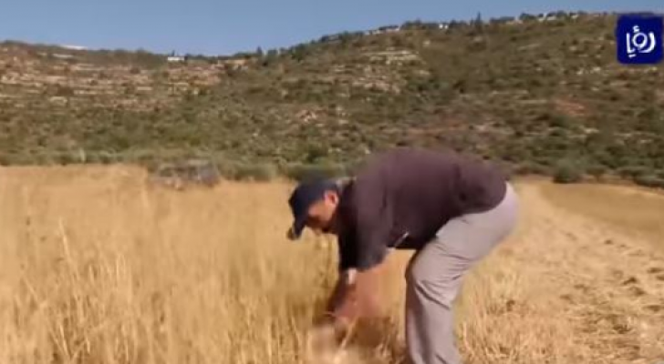 من الفيديو