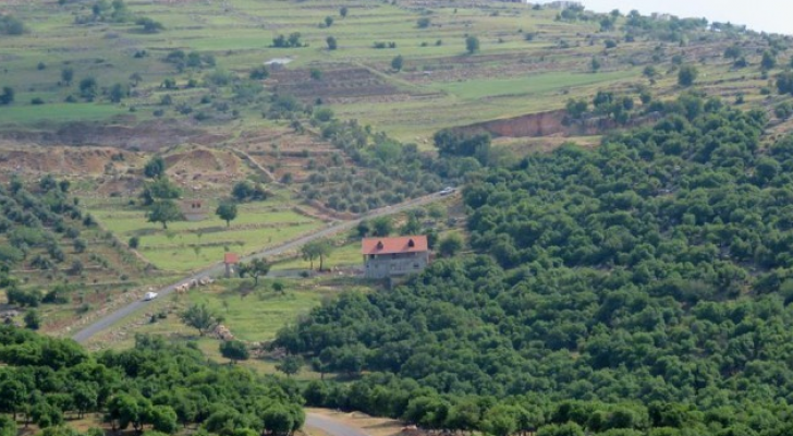 تعبيرية