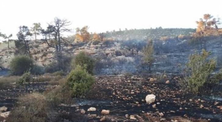 حريق 150 دونم اشجار حرجية في جرش
