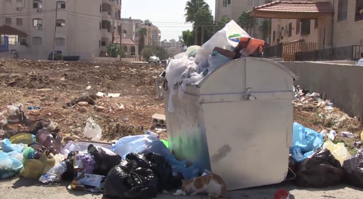 من الفيديو