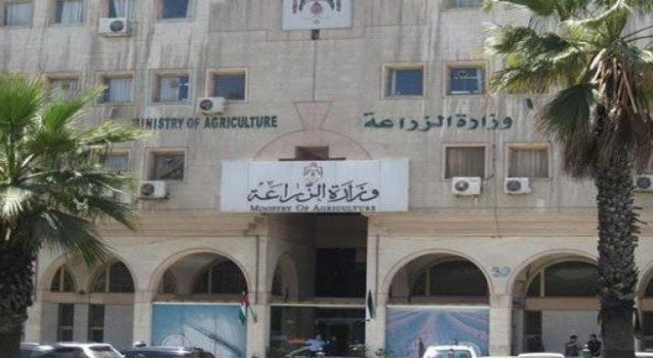 ارشيفية