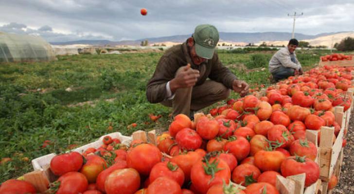 "النواب" يرفض فرض ضرائب جديدة على المزارعين