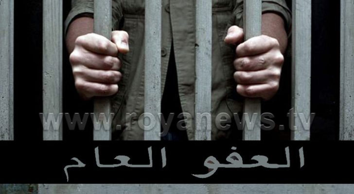 العفو العام