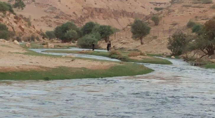 ارشيفية