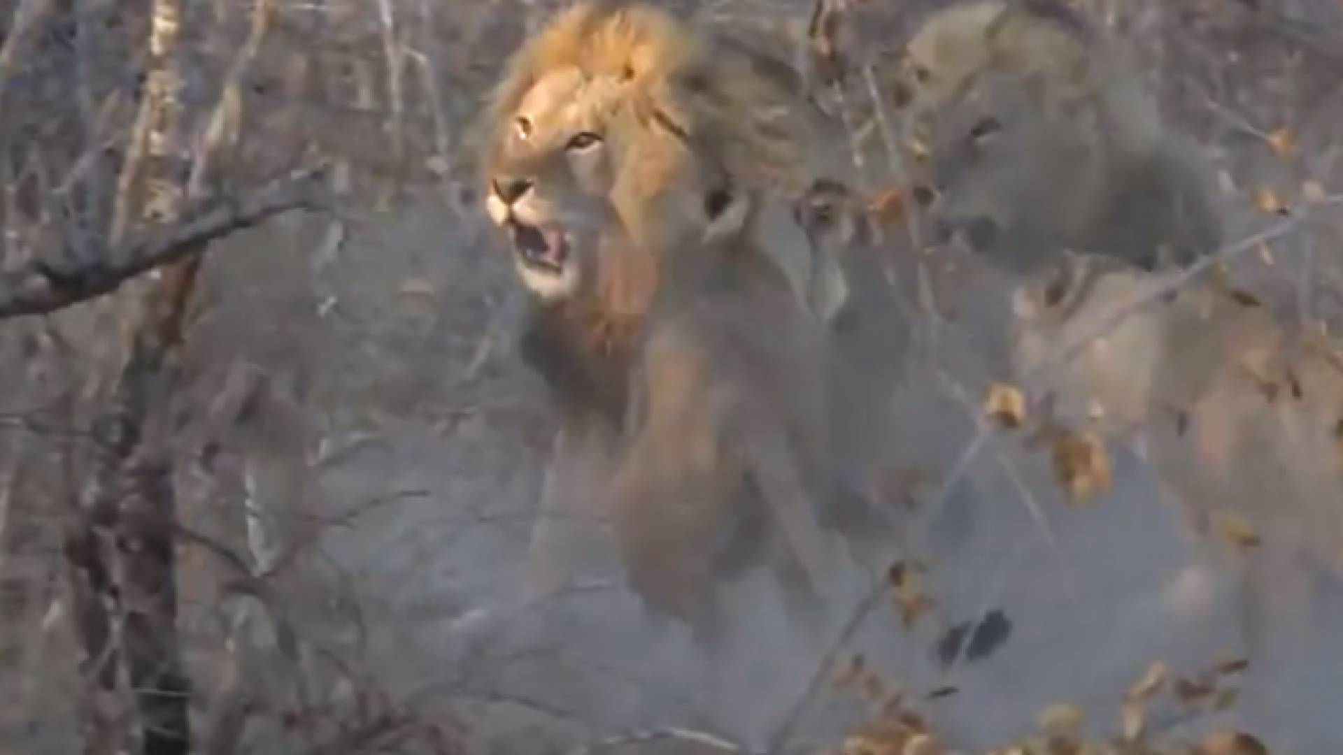 Image 1 from gallery