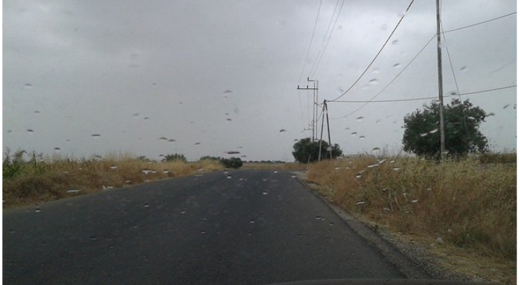 ارشيفية