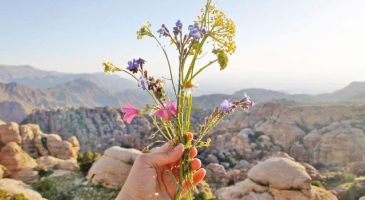 الصورة أرشيفية