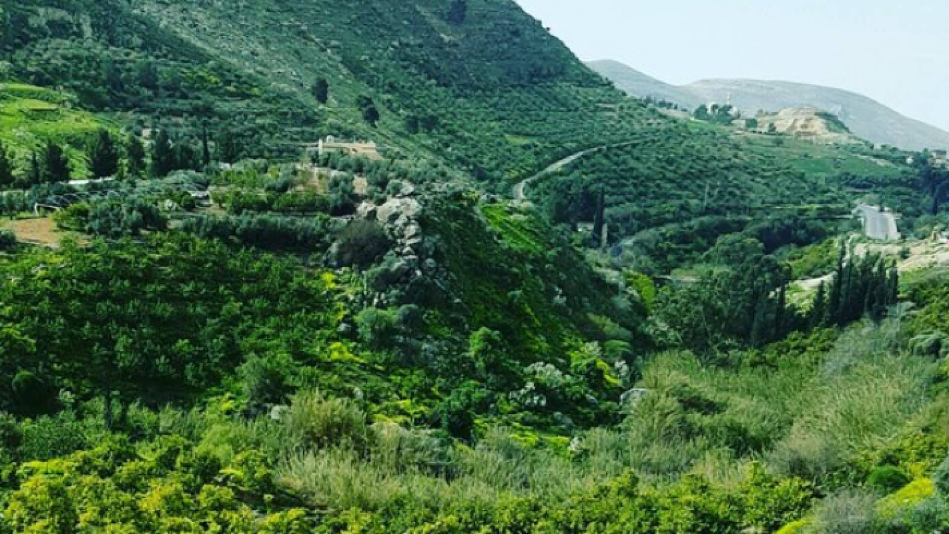 Image 1 from gallery