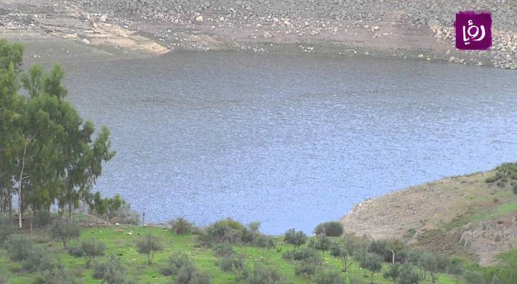 Image 1 from gallery