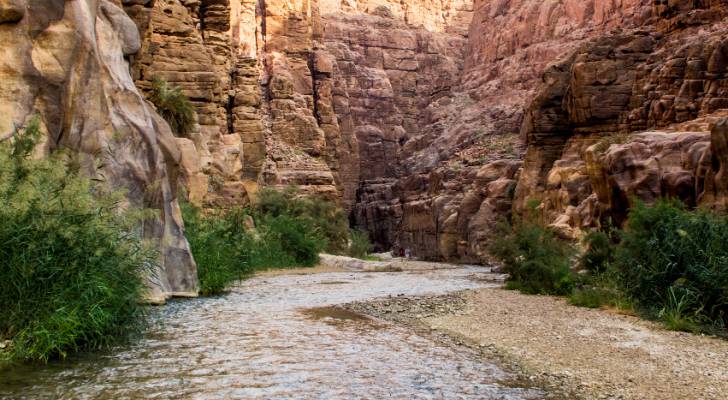 افتتاح الممرات المائية في محمية الموجب للمحيط الحيوي.. صور