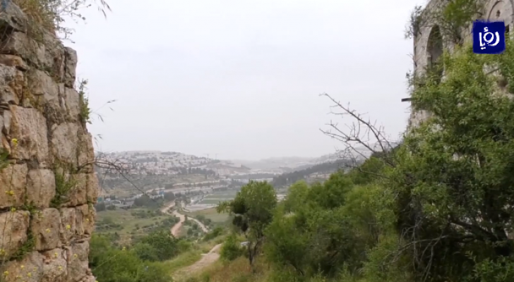صورة من الفيديو