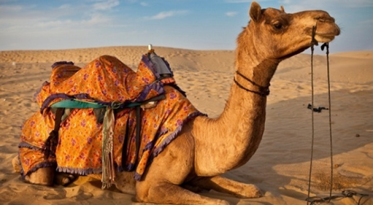 الصورة أرشيفية