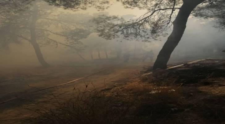 Image 1 from gallery