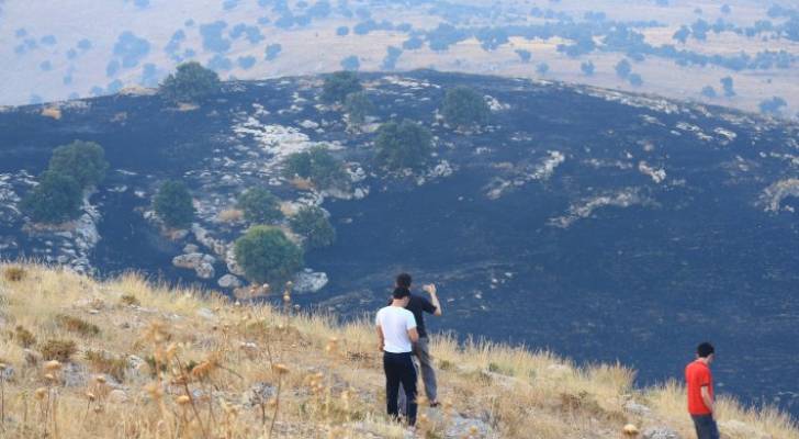 الحرائق تلتهم 473 شجرة مثمرة و3200 شجرة زيتون و 900 دونم قمح وشعير في الأردن