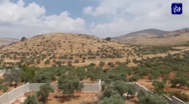 الاحتلال يستولي على أراض من قريتي دير الحطب وعزموط شرق نابلس