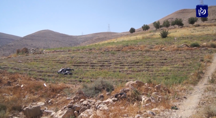 من الفيديو