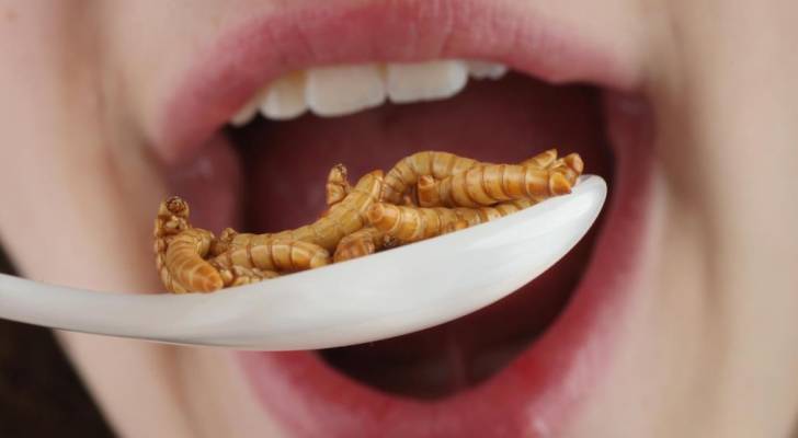 هل تعلم أن تناولك للحشرات "يحميك" من أحد أخطر أمراض العصر؟